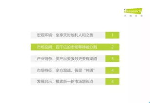2019年中國教育信息化行業報告 信息技術咨詢服務的角色、挑戰與未來趨勢